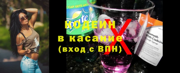 хмурый Арсеньев