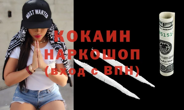 хмурый Арсеньев