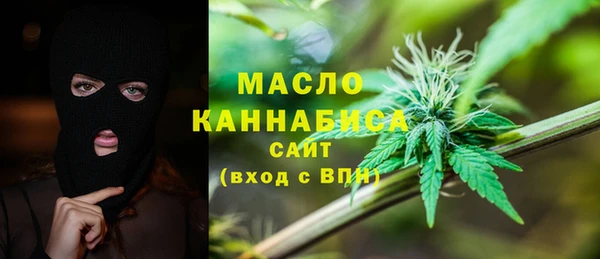 хмурый Арсеньев