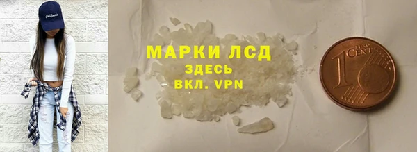 хмурый Арсеньев