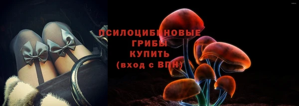 эйфоретик Аркадак