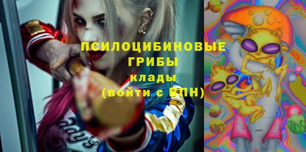 хмурый Арсеньев