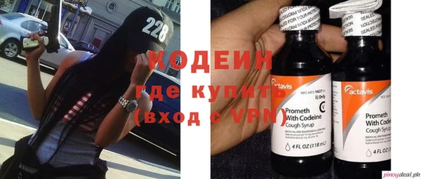 хмурый Арсеньев