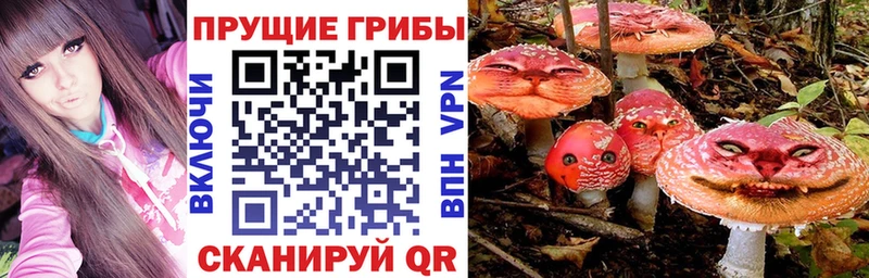 Галлюциногенные грибы мухоморы  даркнет сайт  Медногорск 